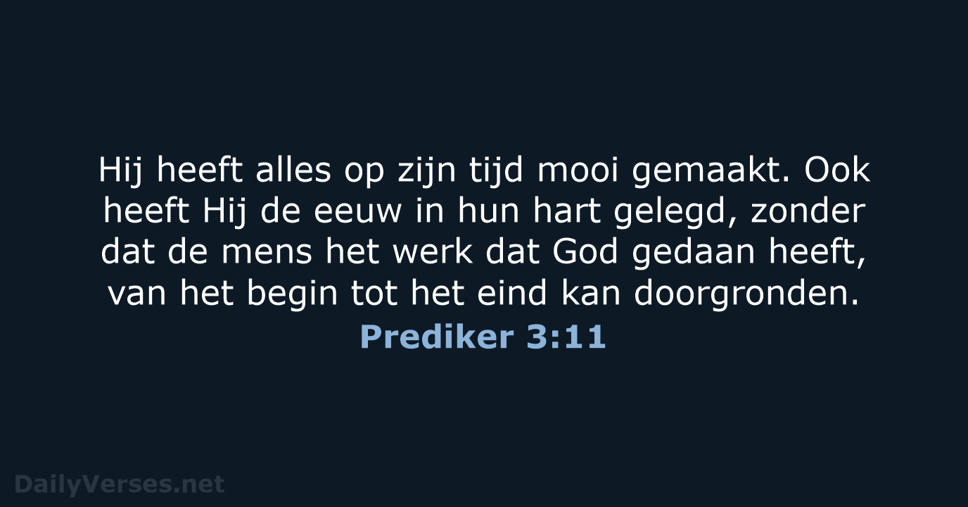 Prediker 3:11 - HSV