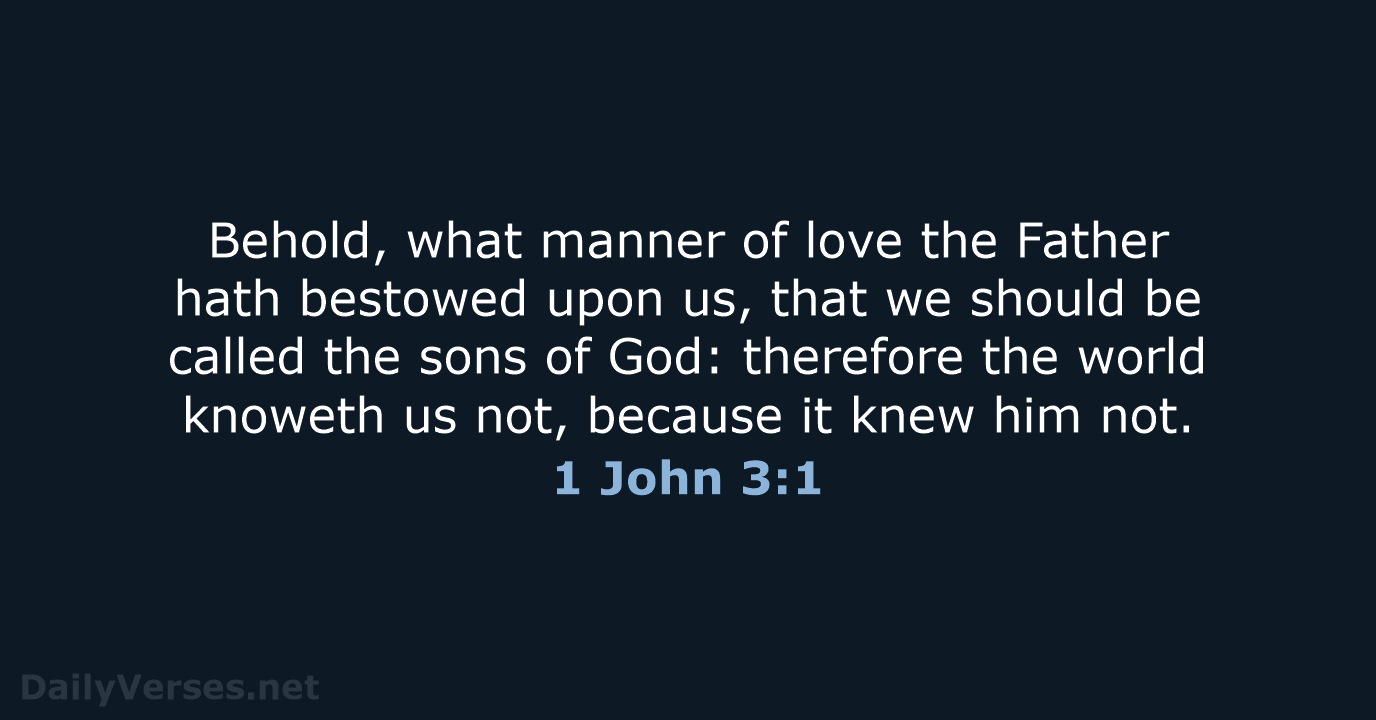 1 John 3:1 - KJV