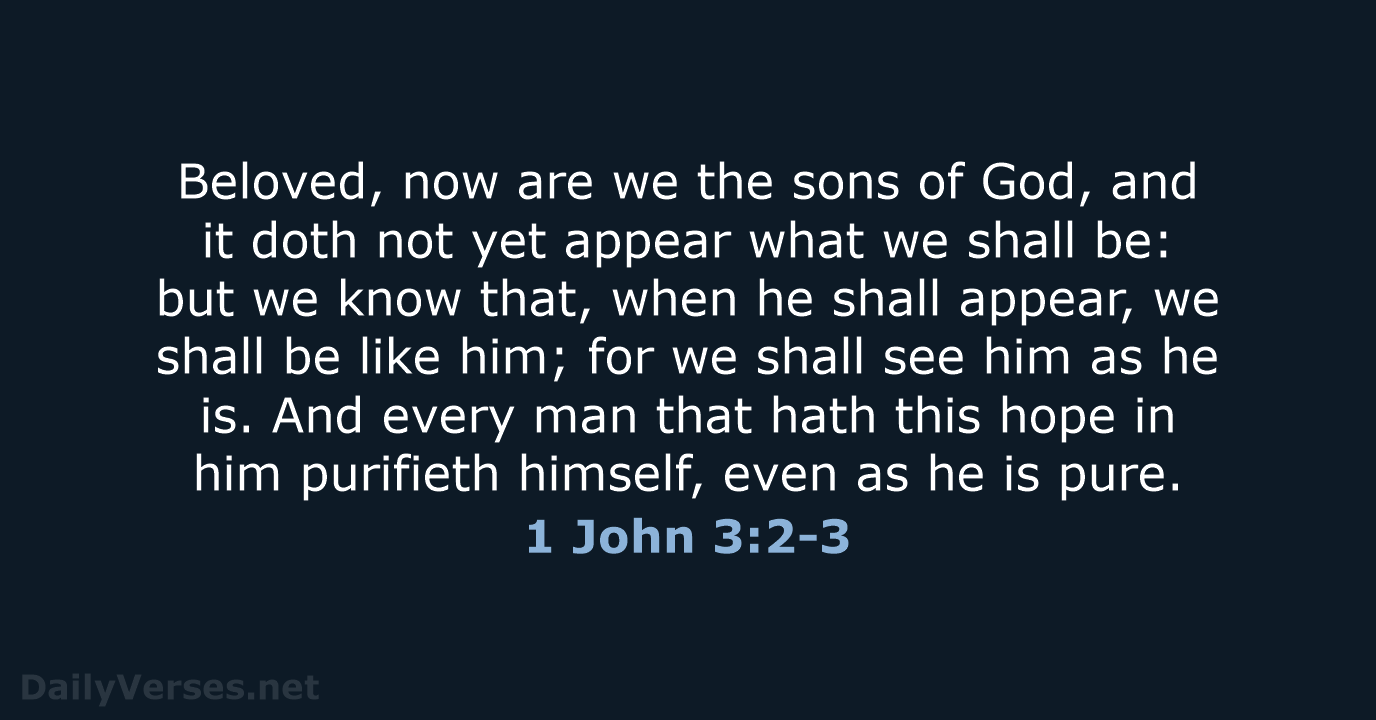 1 John 3:2-3 - KJV