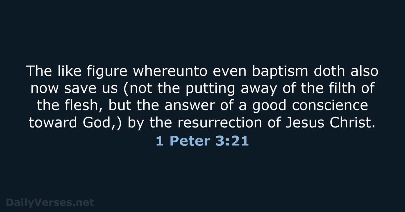 1 Peter 3:21 - KJV