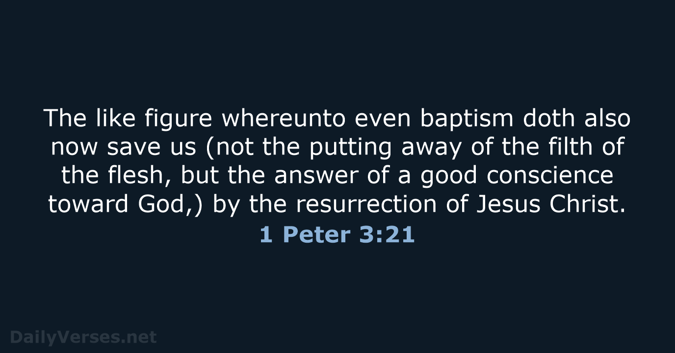 1 Peter 3 21 Bible Verse KJV DailyVerses