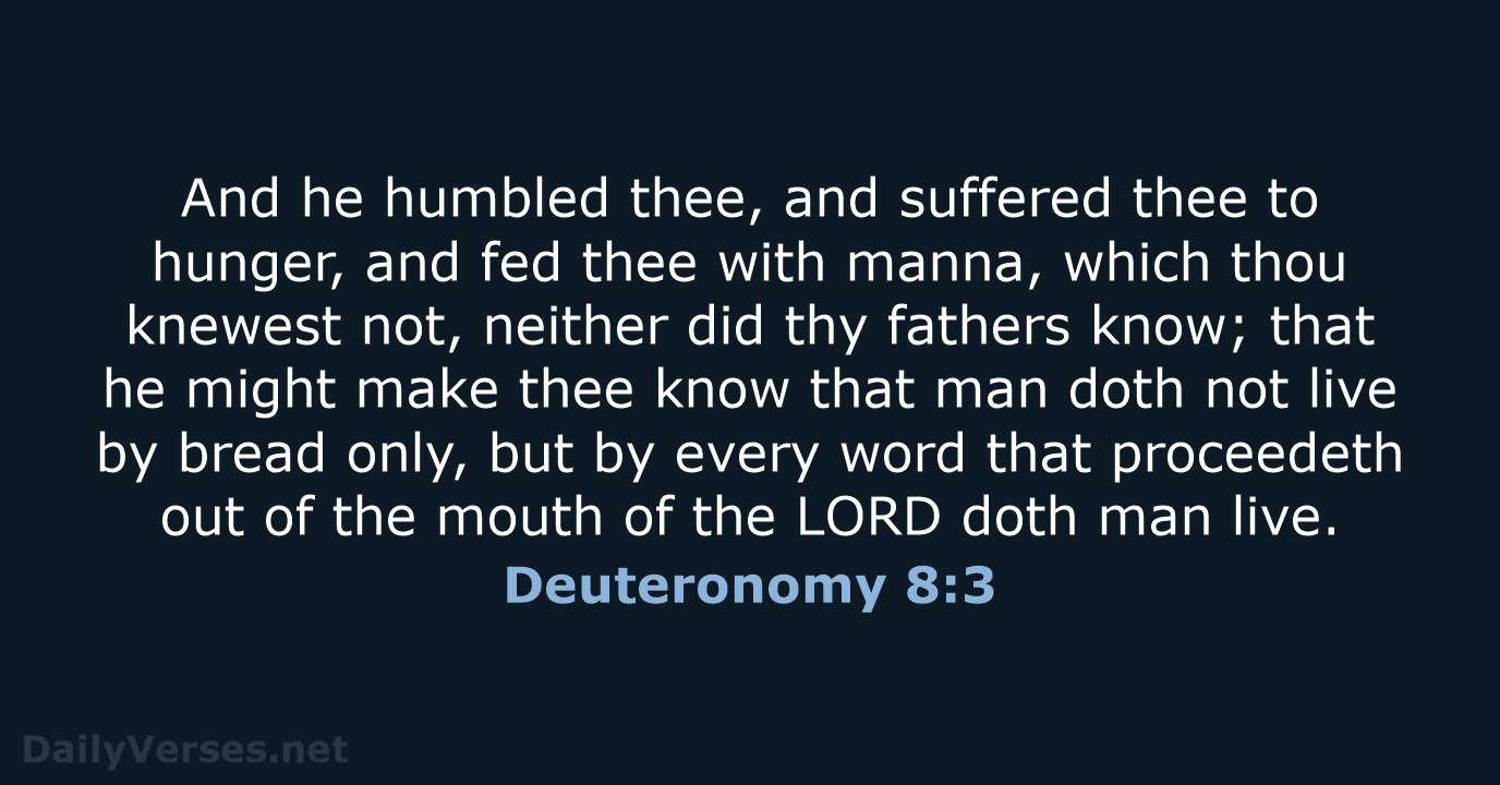 Deuteronomy 8:3 - KJV