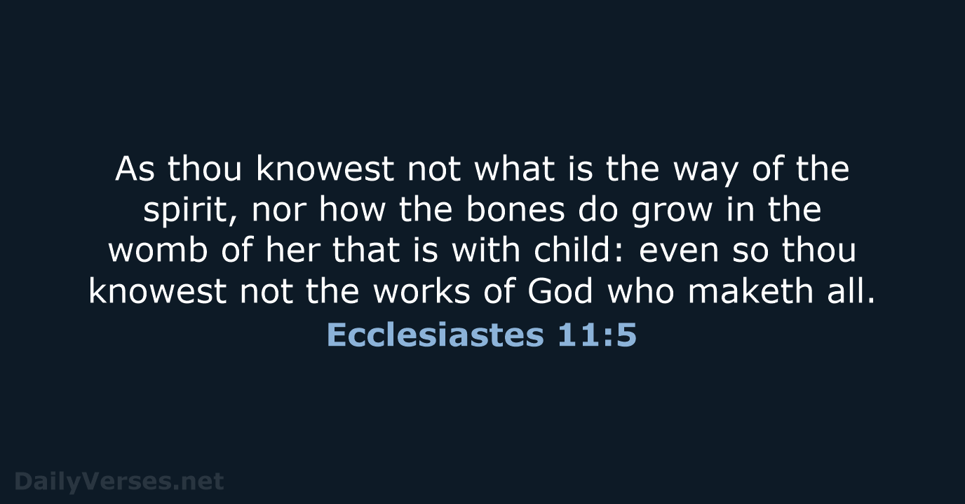 Ecclesiastes 11:5 - KJV