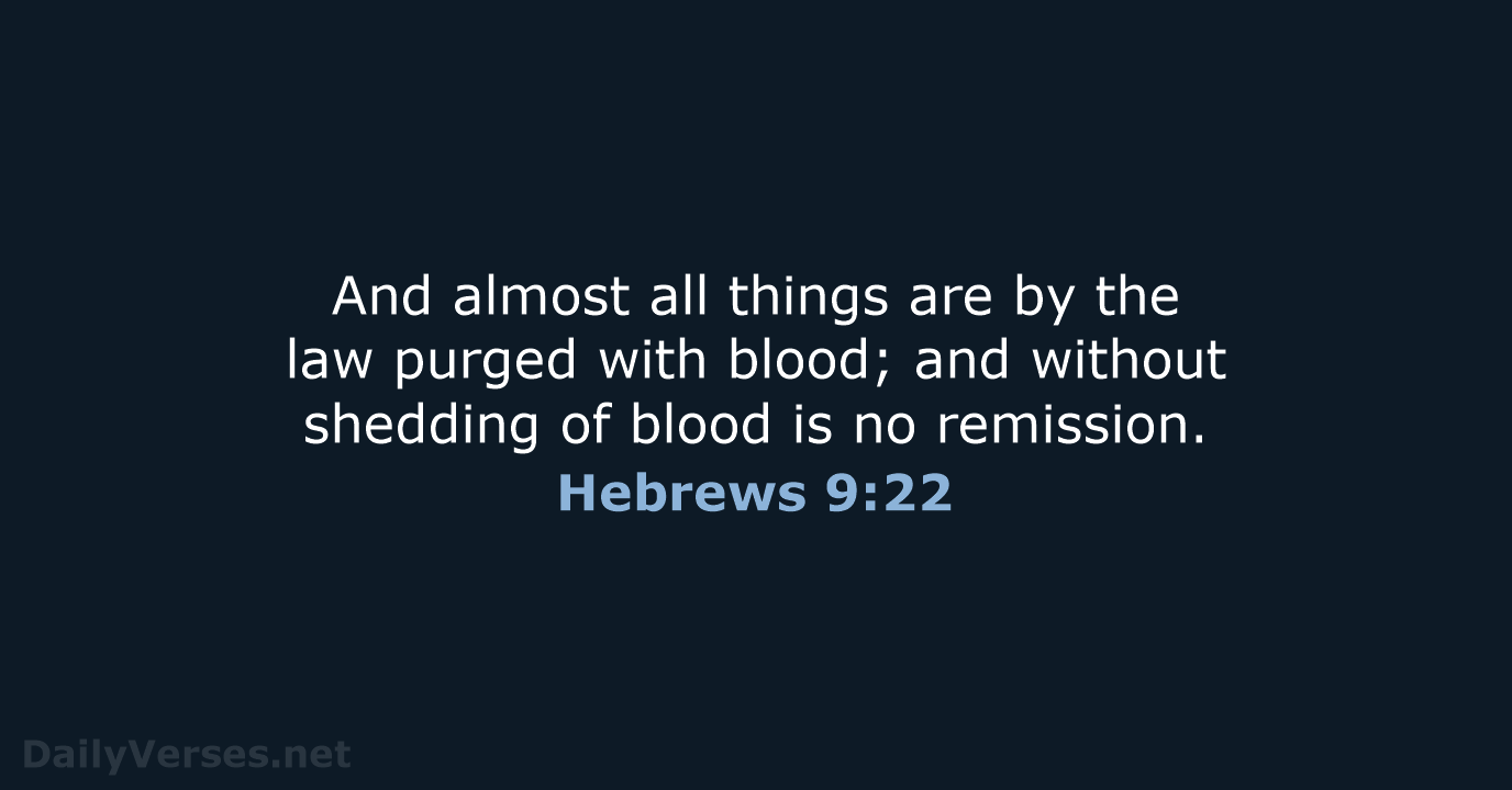 hebrews 9 18-22 kjv