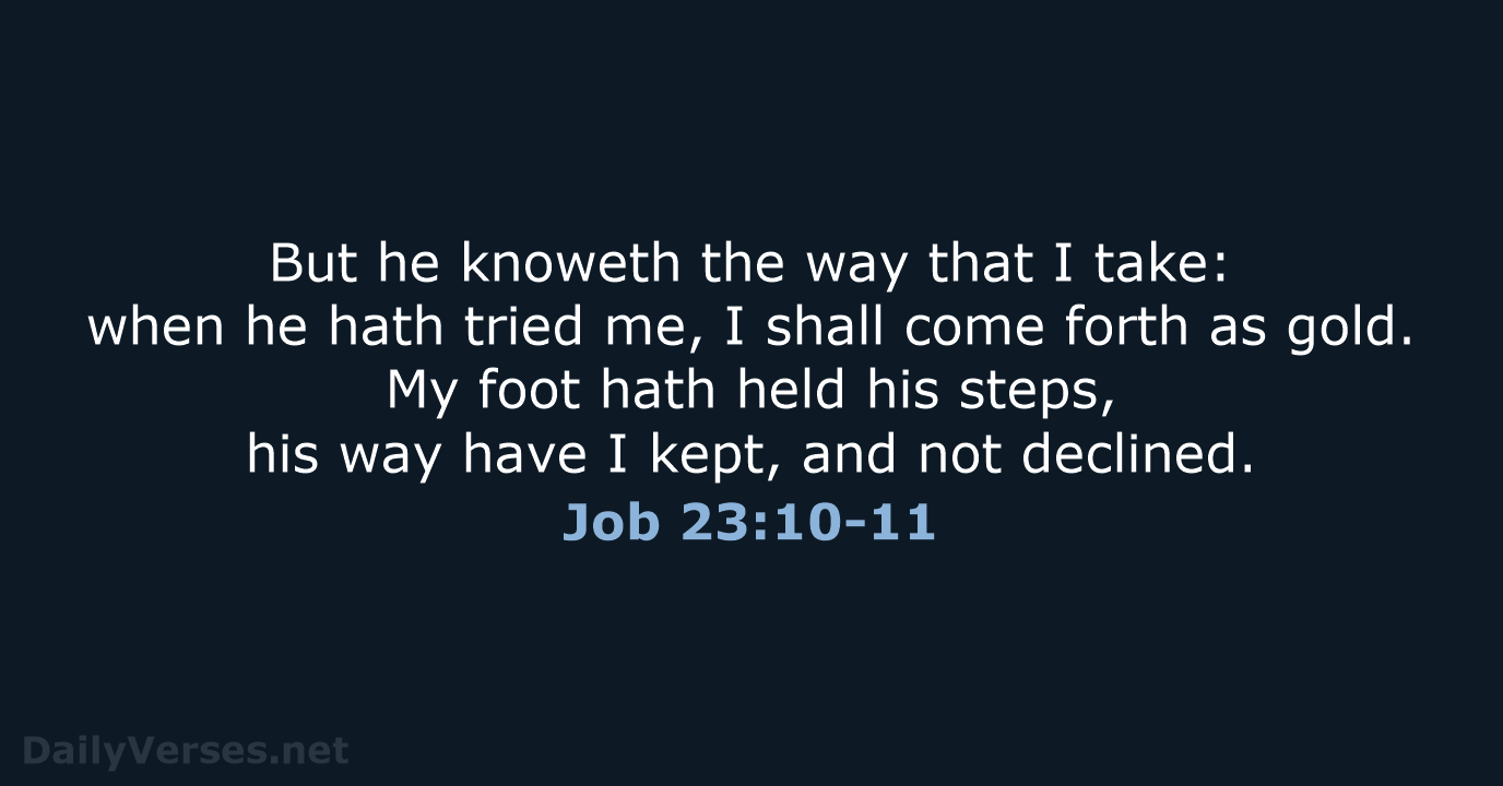 Job 23:10-11 - KJV