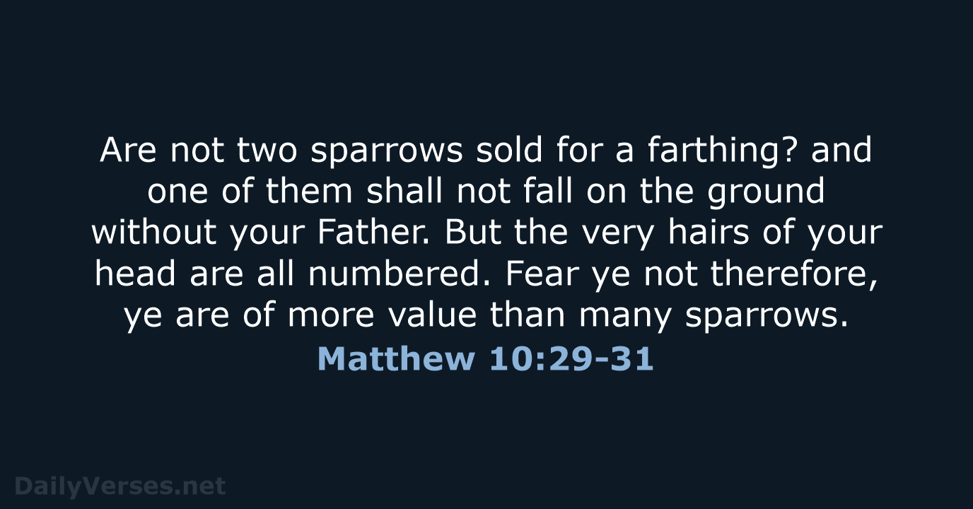 Matthew 10:29-31 - KJV