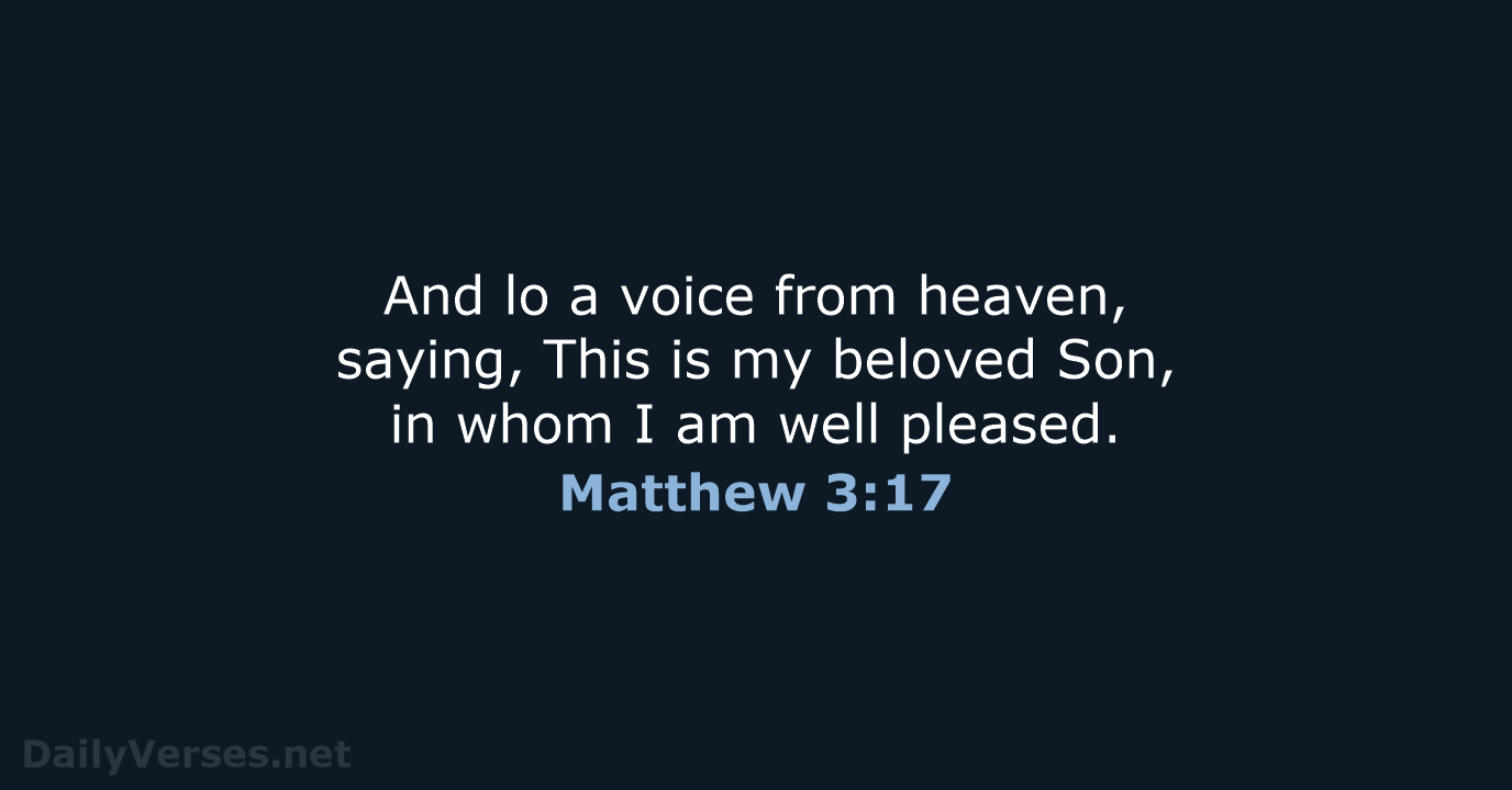 Matthew 3:17 - KJV