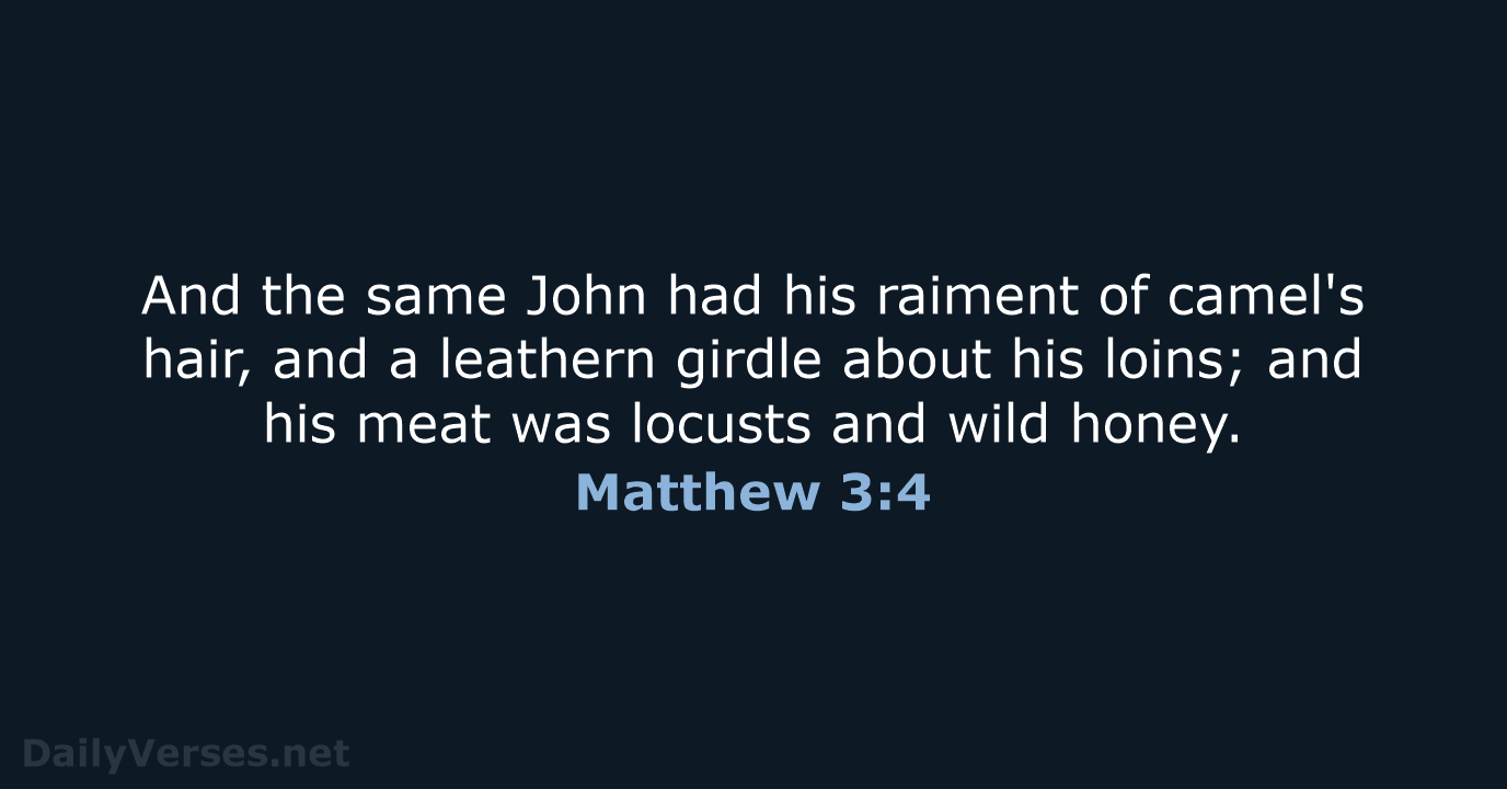 Matthew 3:4 - KJV