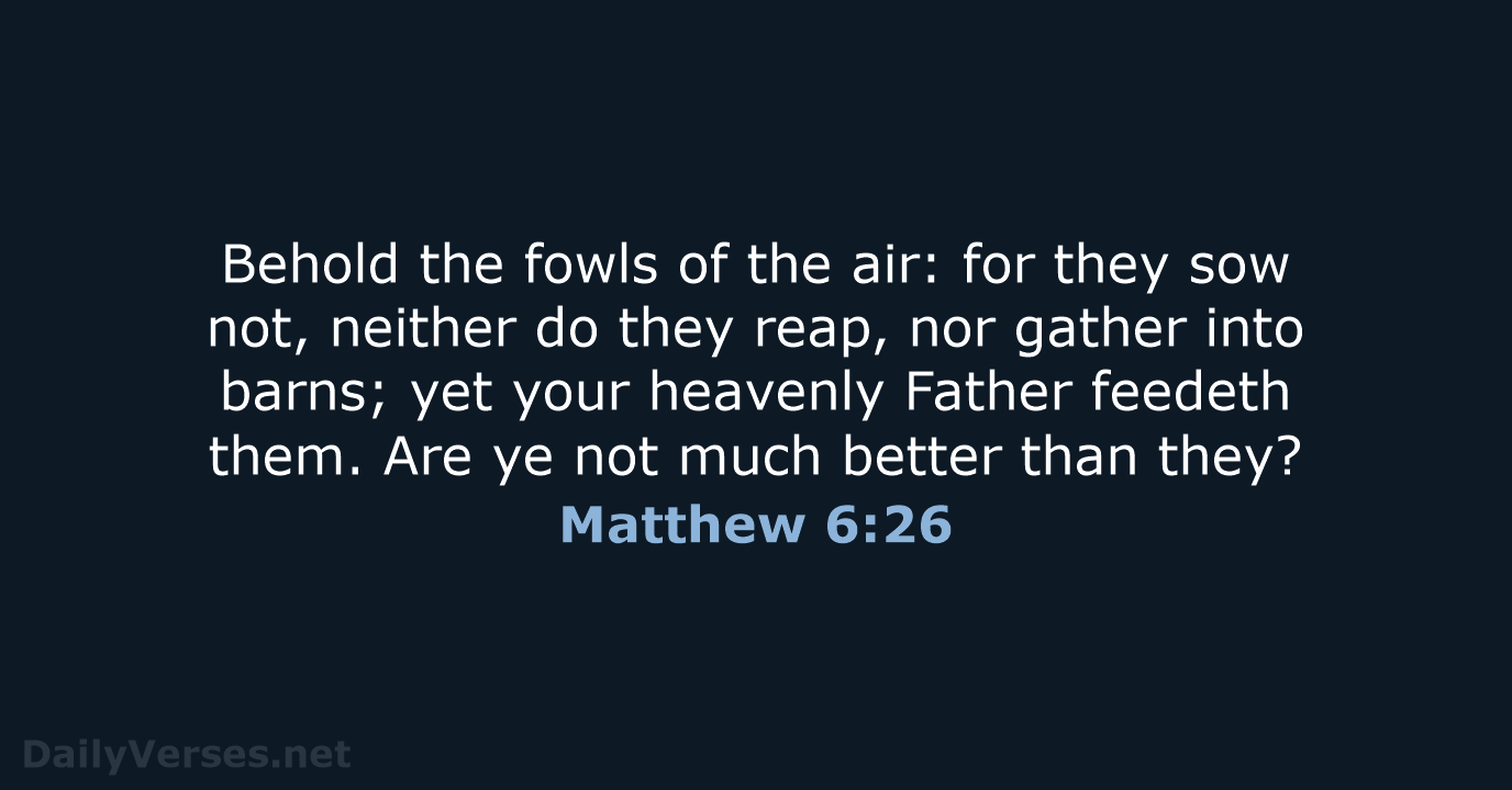Matthew 6:26 - KJV