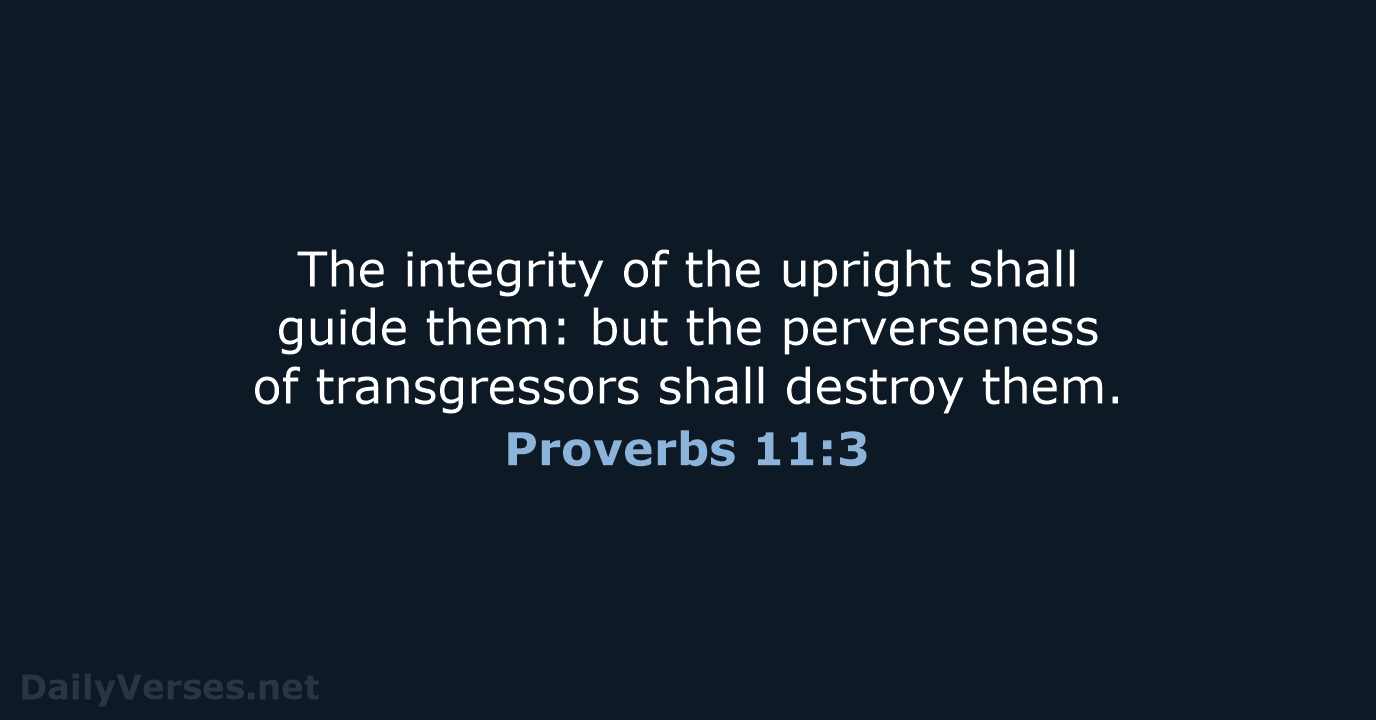 Proverbs 11:3 - KJV
