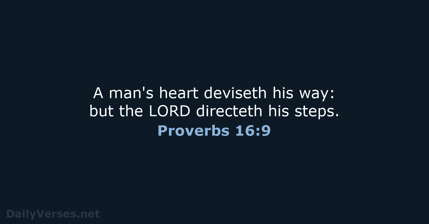 Proverbs 16:9 - KJV