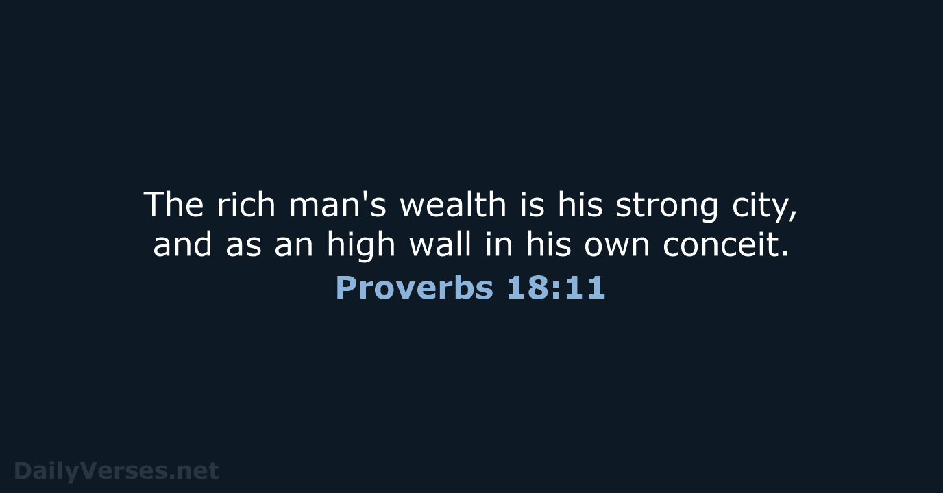 Proverbs 18:11 - KJV