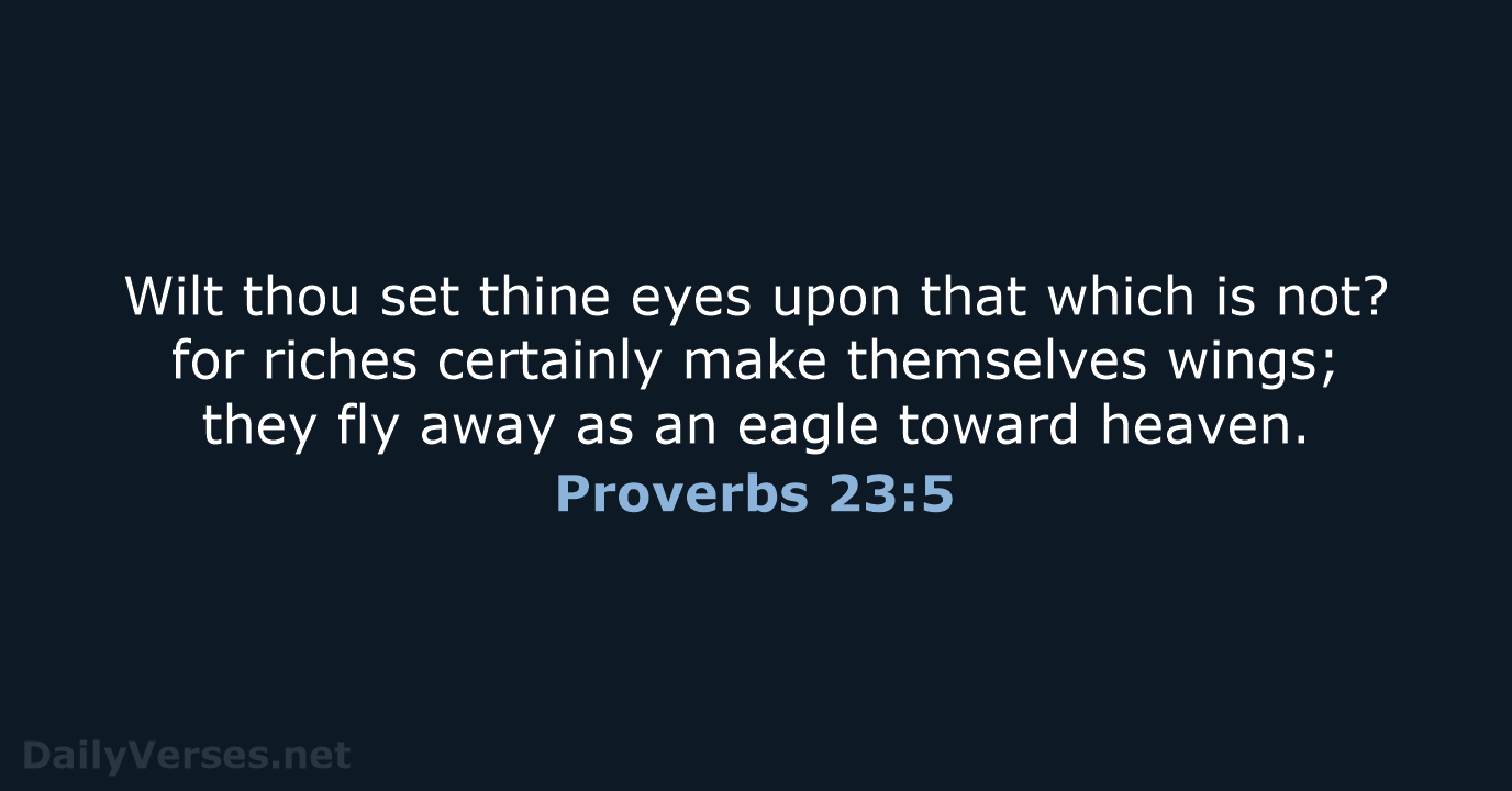 Proverbs 23:5 - KJV