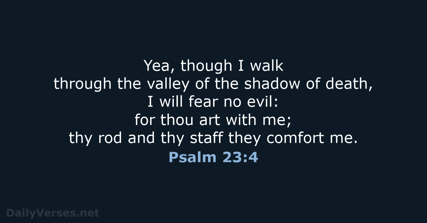 Psalm 23:4 - KJV