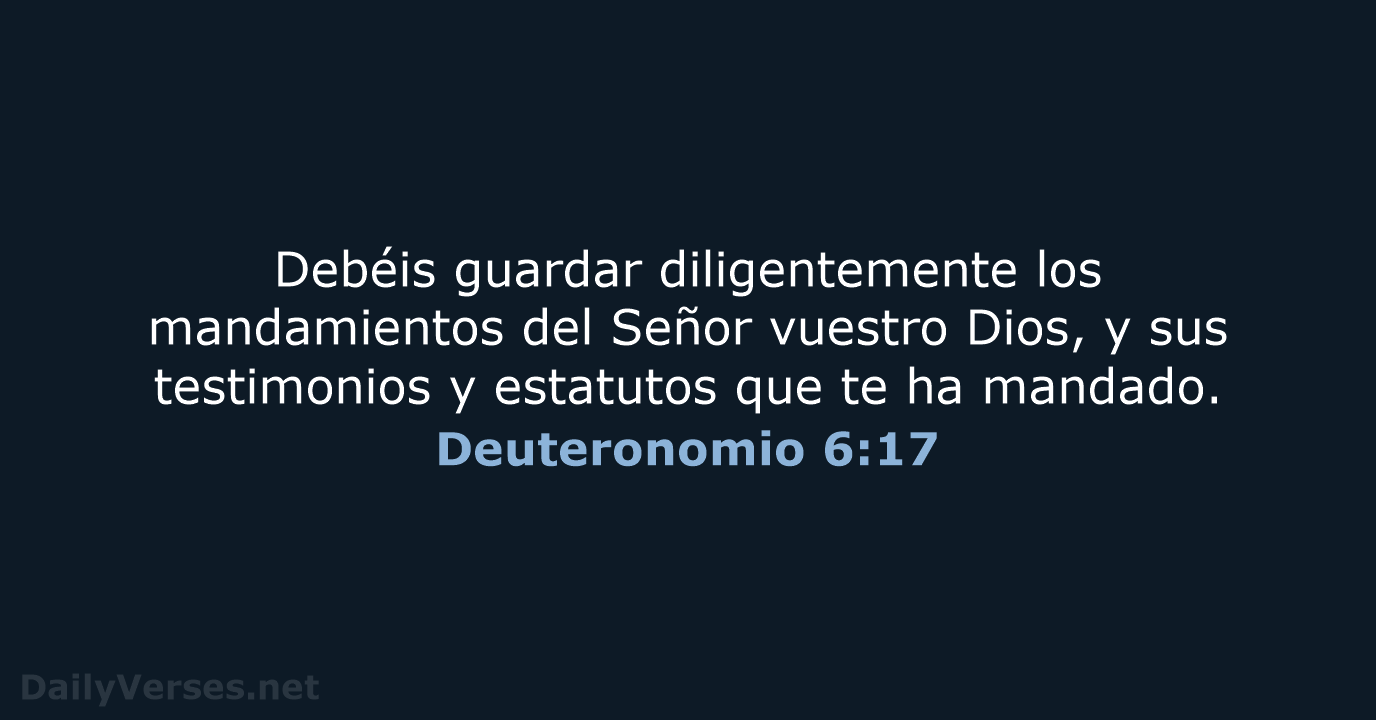 Deuteronomio 6:17 - LBLA