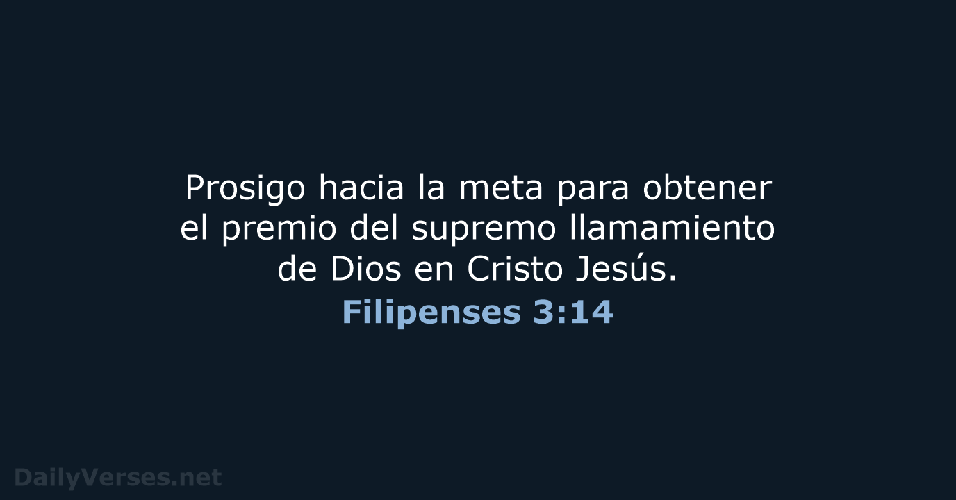 Filipenses 3:14 - LBLA