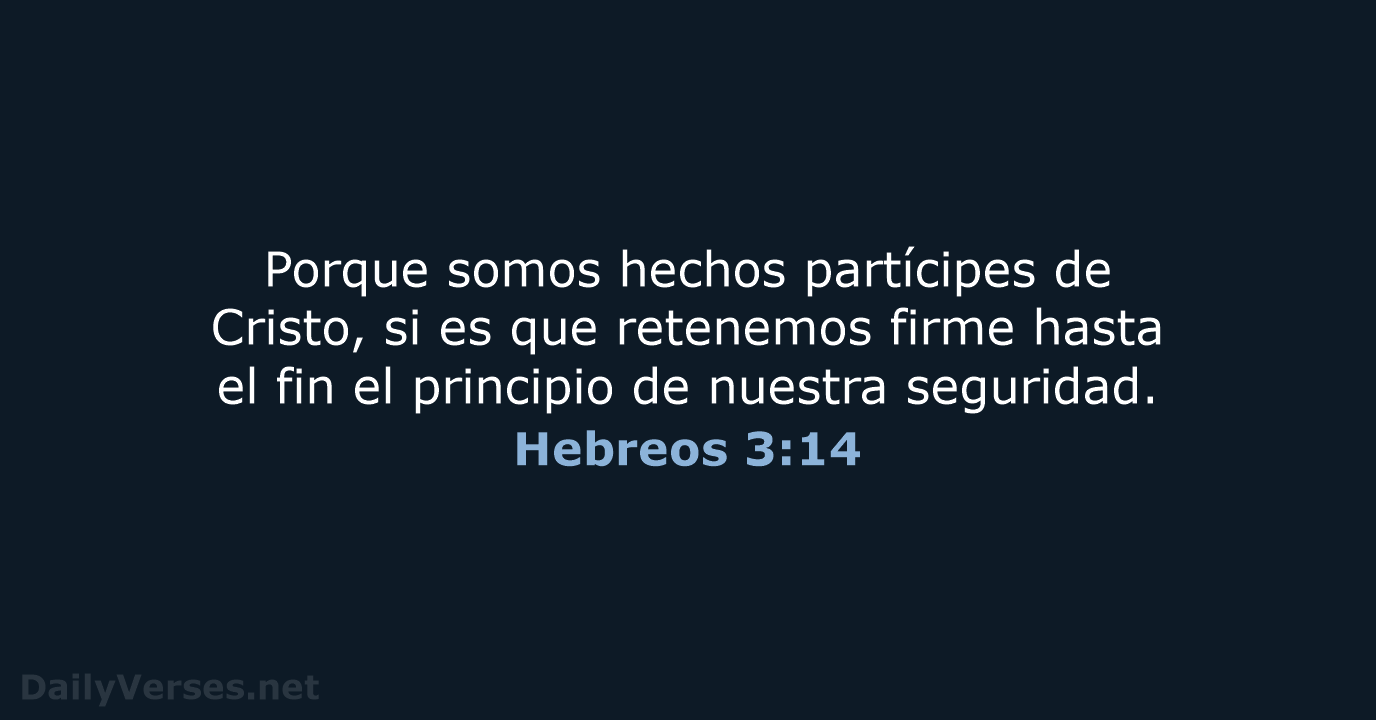 Hebreos 3:14 - LBLA