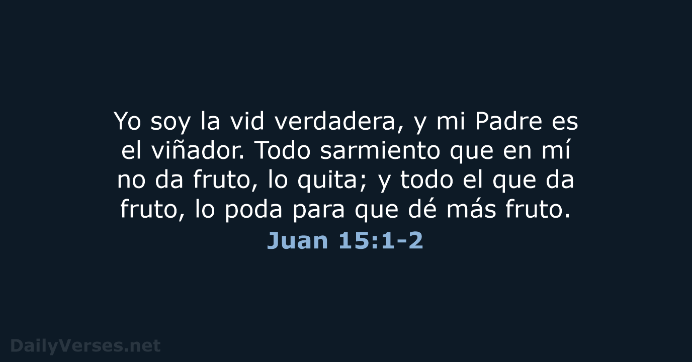Juan 15:1-2 - LBLA