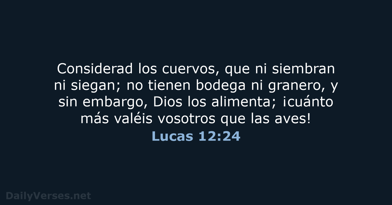 Lucas 12:24 - LBLA
