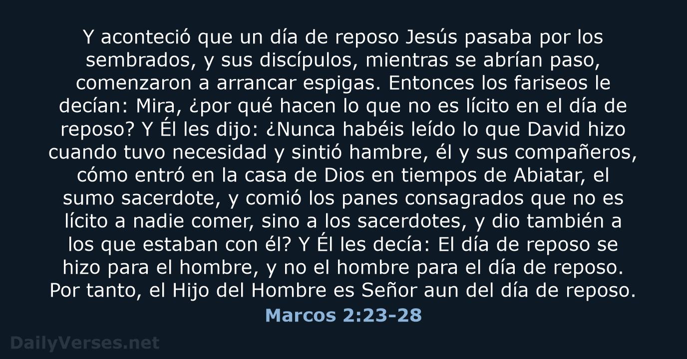 Marcos 2:23-28 - LBLA