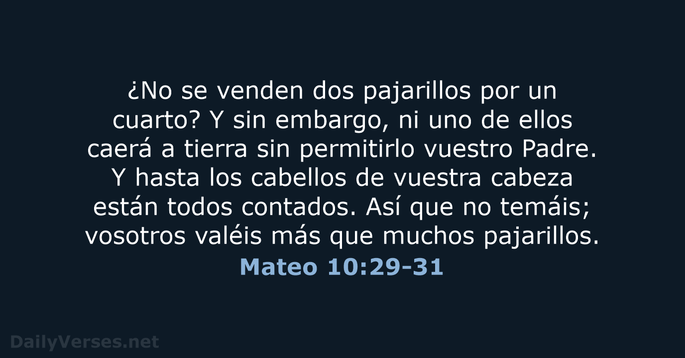 Mateo 10:29-31 - LBLA