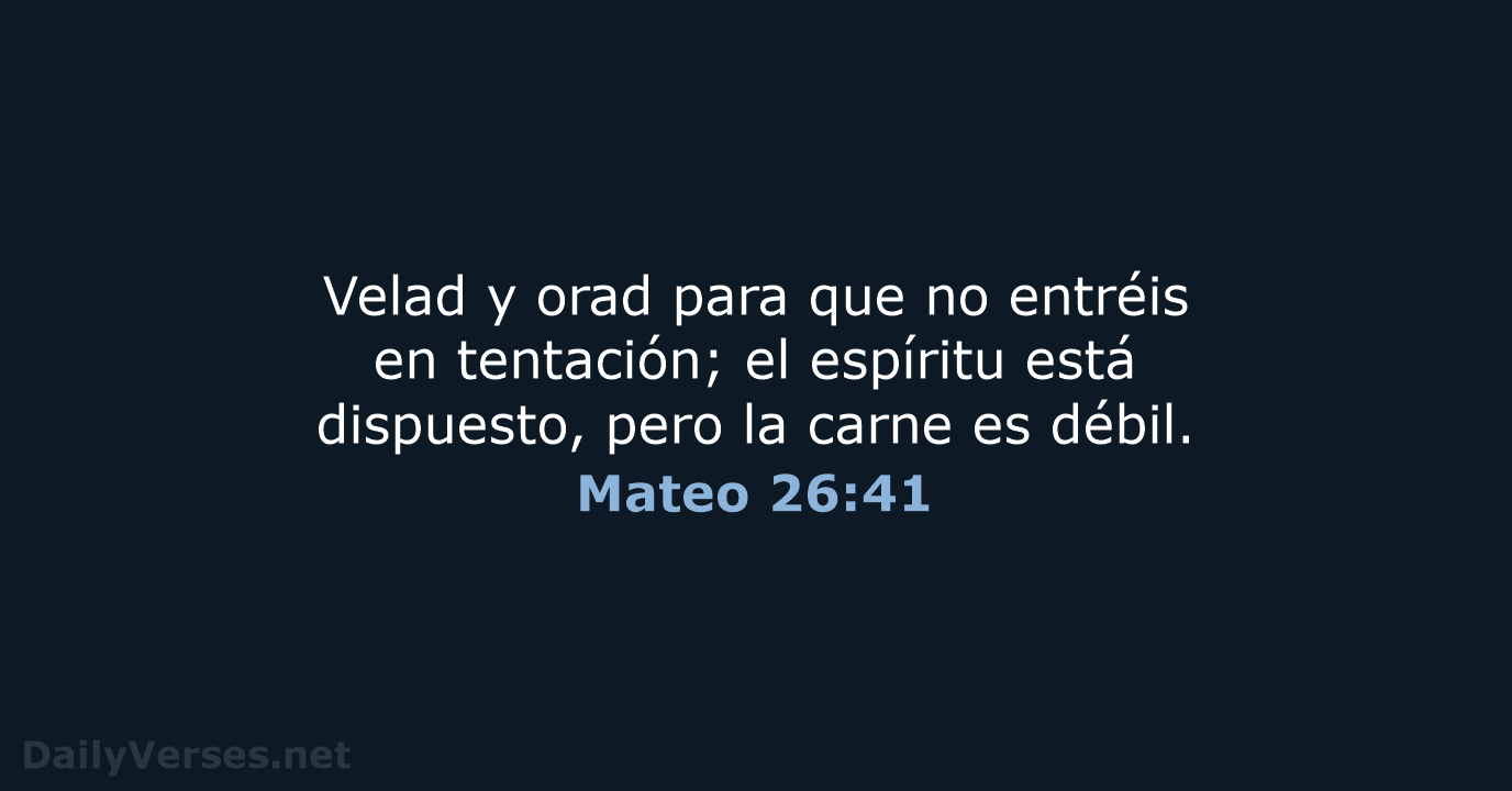 Mateo 26:41 - LBLA