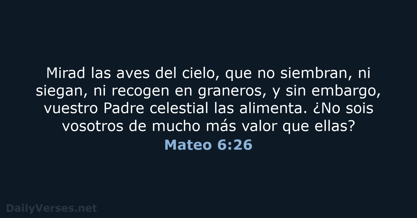 Mateo 6:26 - LBLA