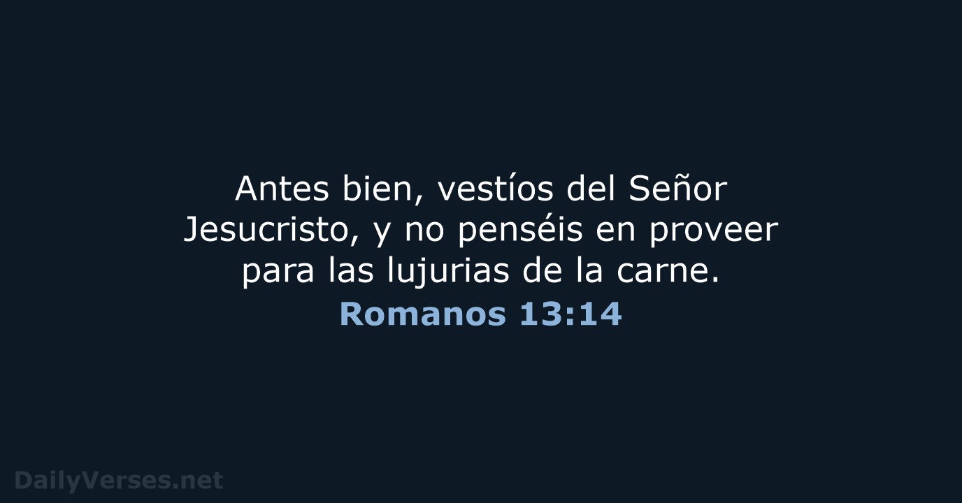 Romanos 13:14 - LBLA