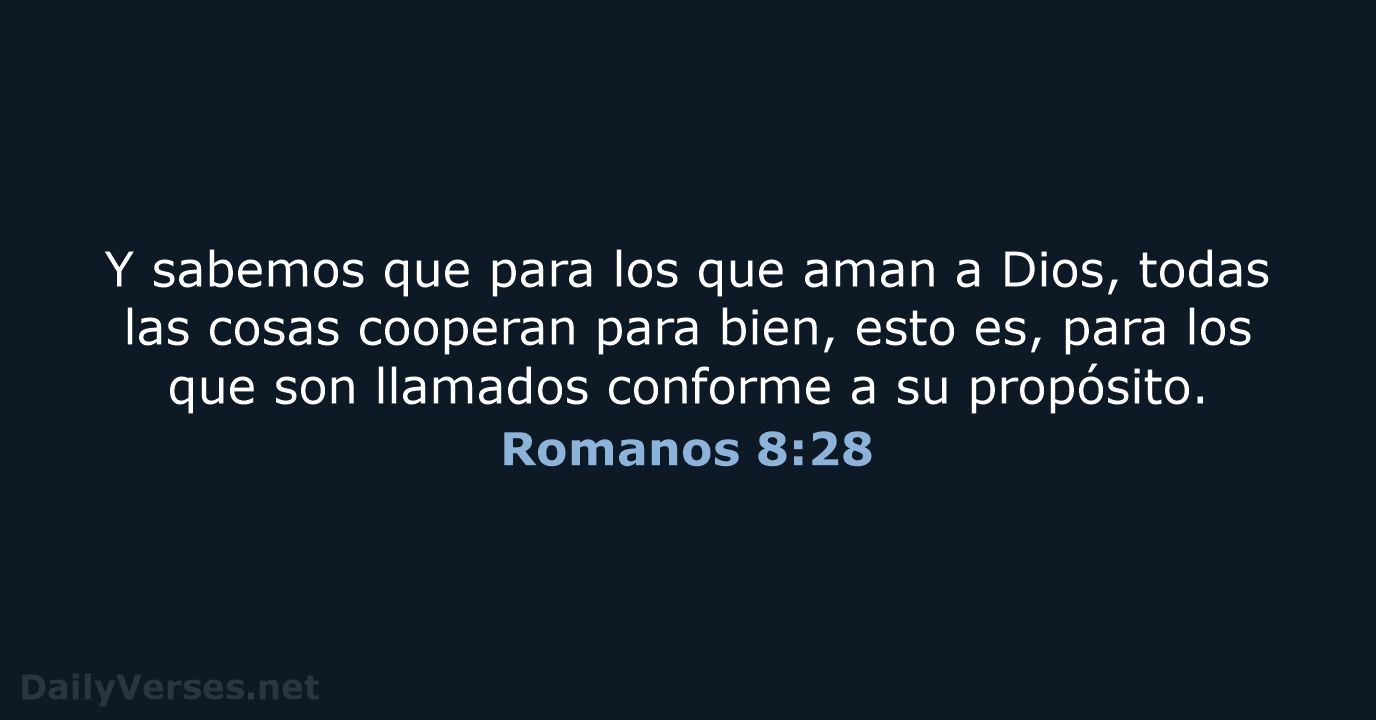 Romanos 8:28 - LBLA