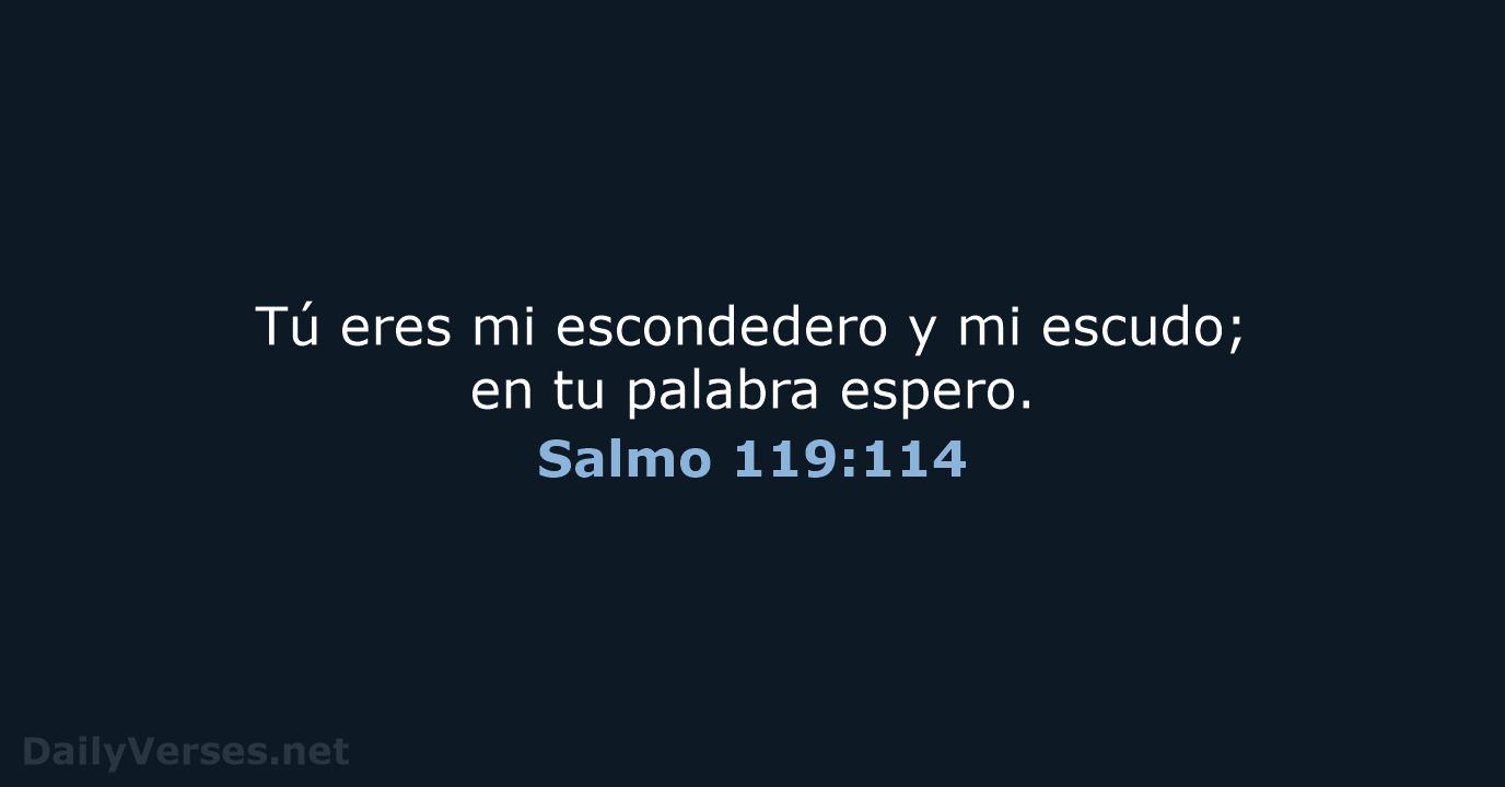 Salmo 119:114 - LBLA