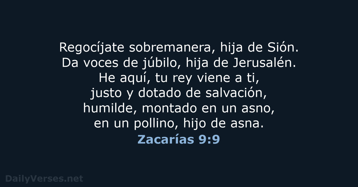 Zacarías 9:9 - LBLA