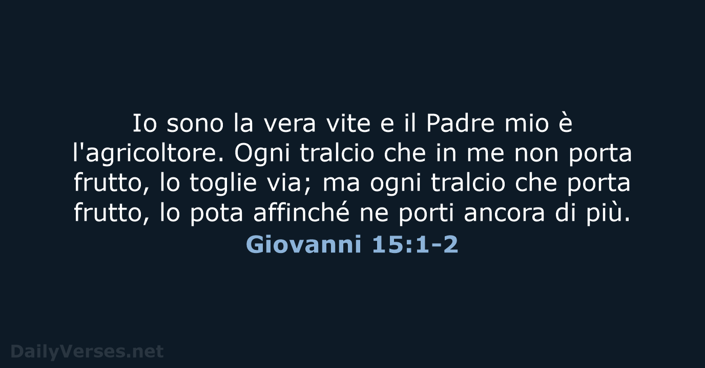 Io sono la vera vite e il Padre mio è l'agricoltore. Ogni… Giovanni 15:1-2
