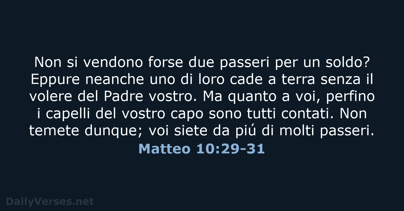 Matteo 10:29-31 - LND
