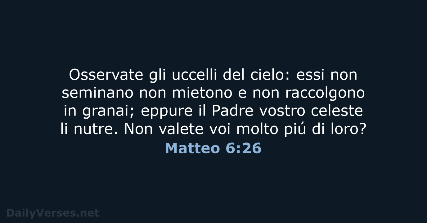 Matteo 6:26 - LND