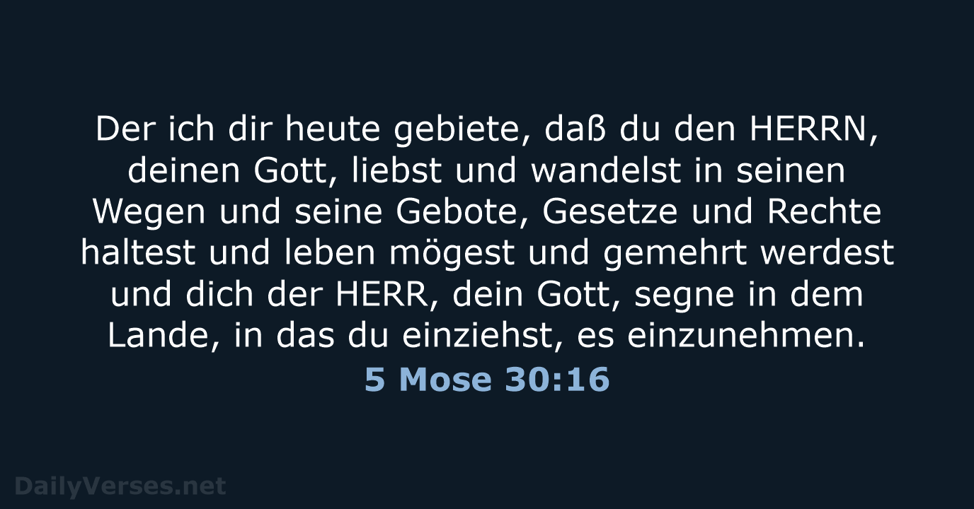 5 Mose 30:16 - LU12