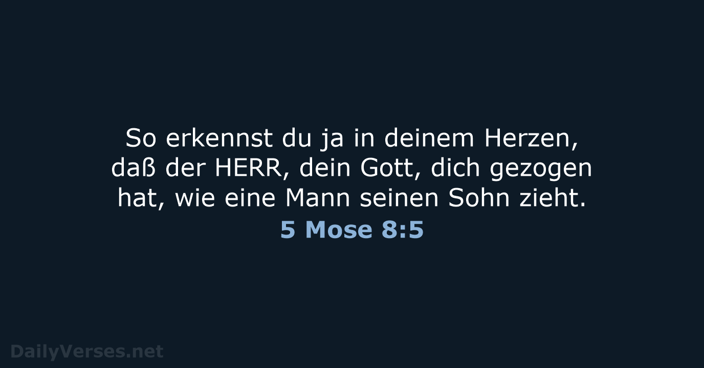 5 Mose 8:5 - LU12