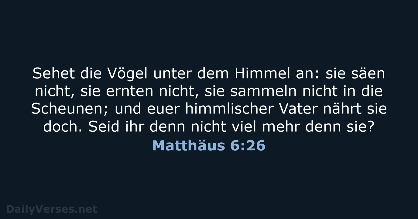 Matthäus 6:26 - LU12