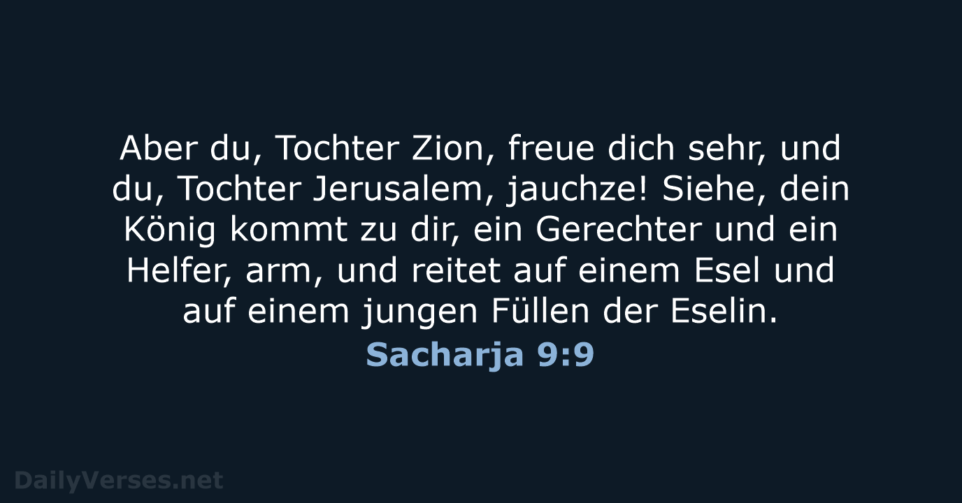 Sacharja 9:9 - LU12