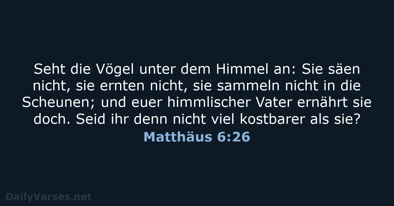 Matthäus 6:26 - LUT