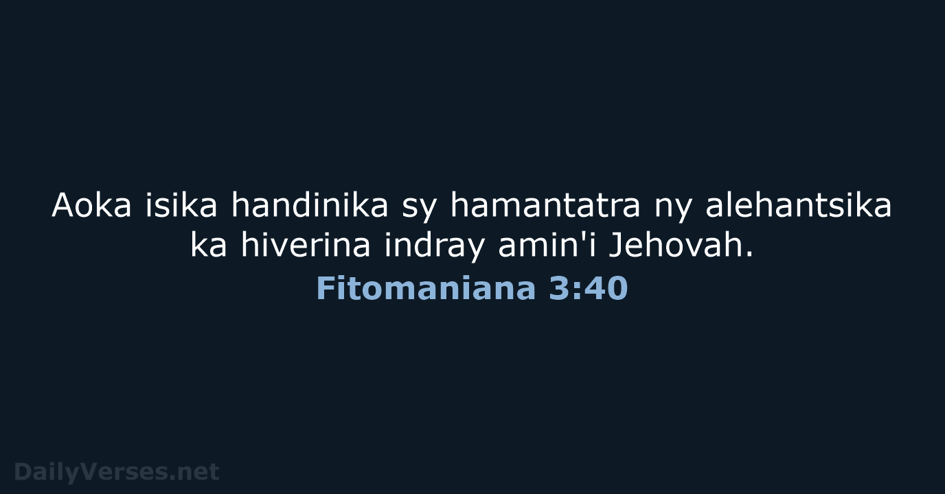 Fitomaniana 3:40 - MG1865