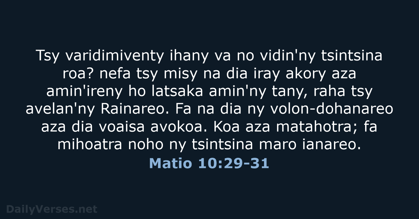 Matio 10:29-31 - MG1865