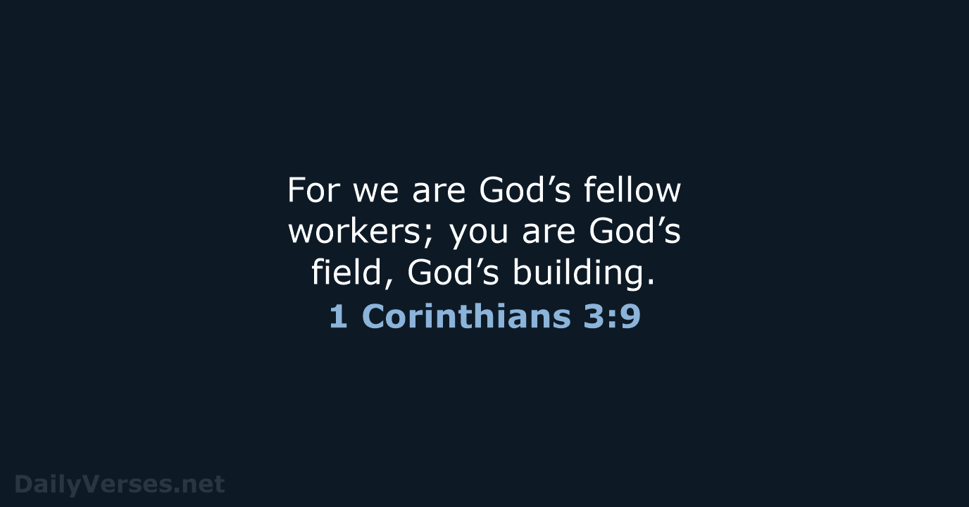 For we are God’s fellow workers; you are God’s field, God’s building. 1 Corinthians 3:9