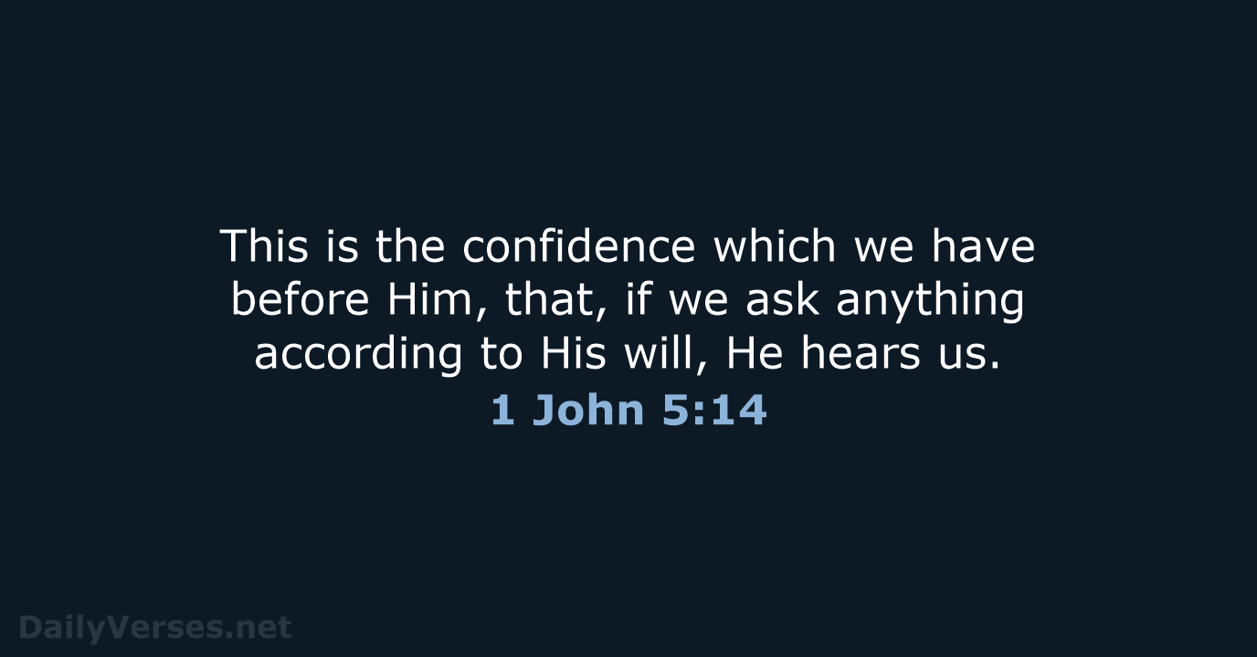 1 John 5:14 - NASB