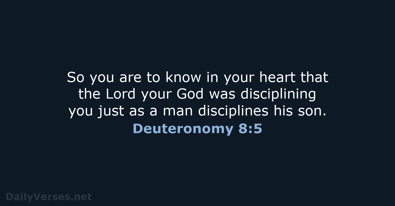 Deuteronomy 8:5 - NASB