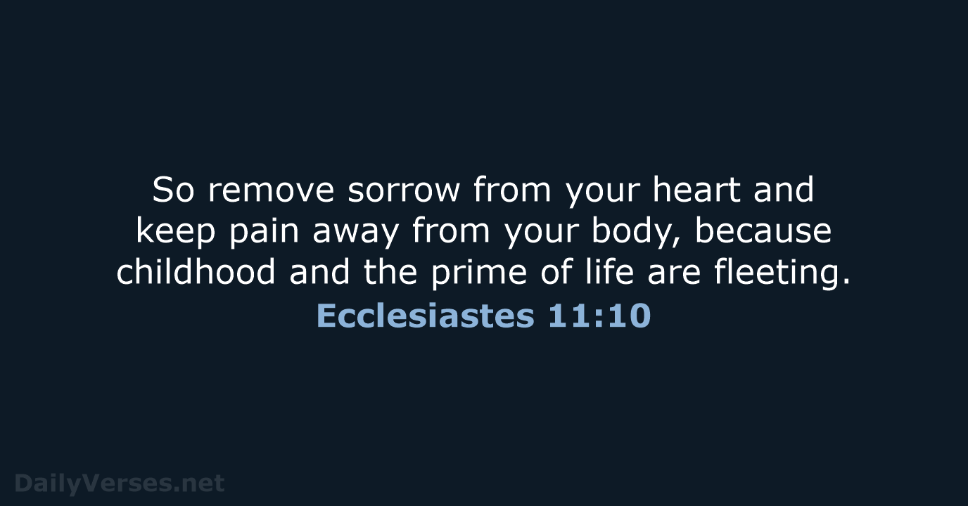 Ecclesiastes 11:10 - NASB