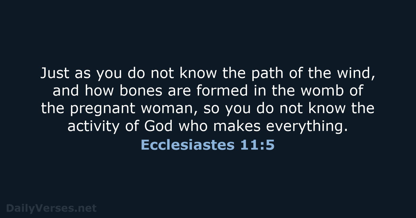 Just as you do not know the path of the wind, and… Ecclesiastes 11:5