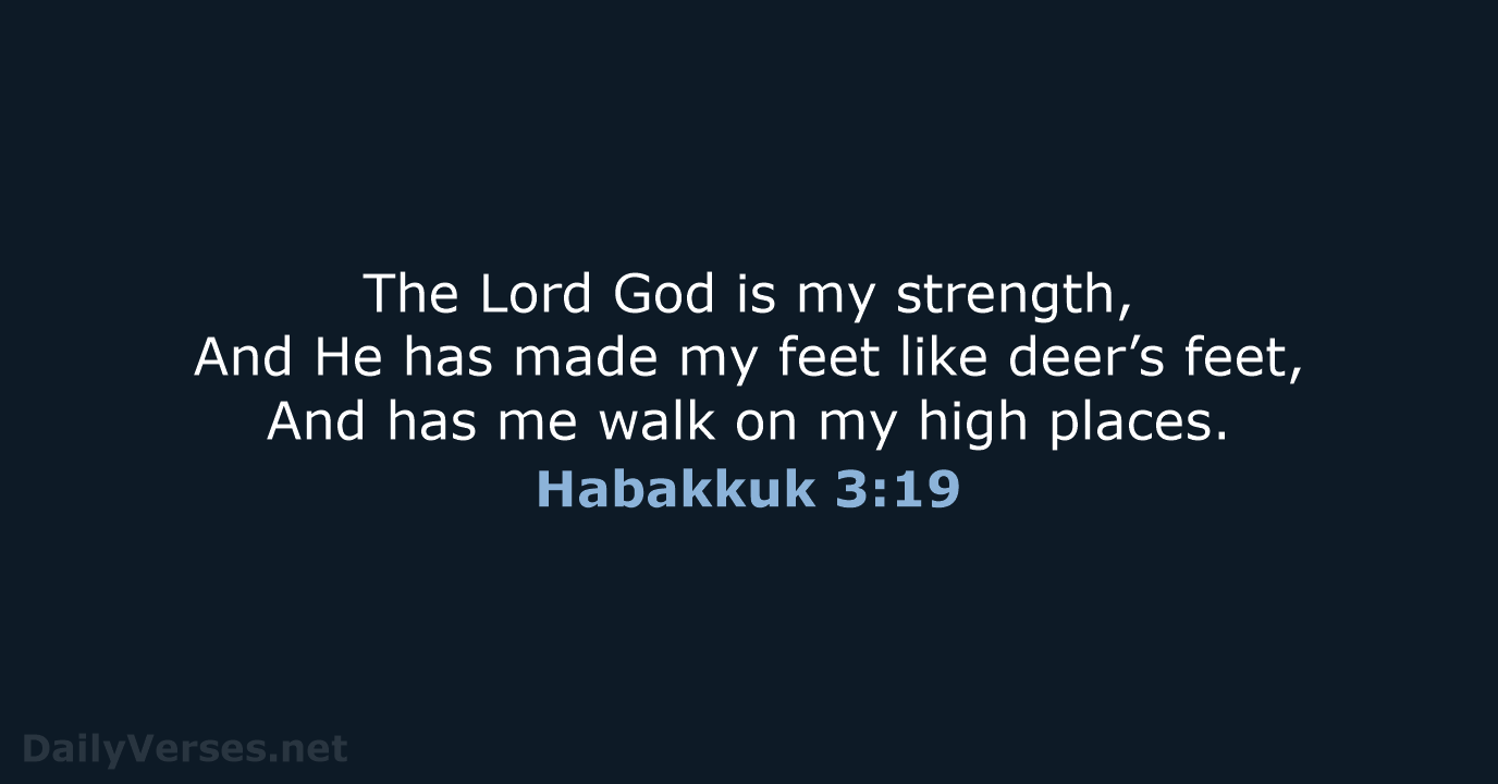 Habakkuk 3:19 - NASB