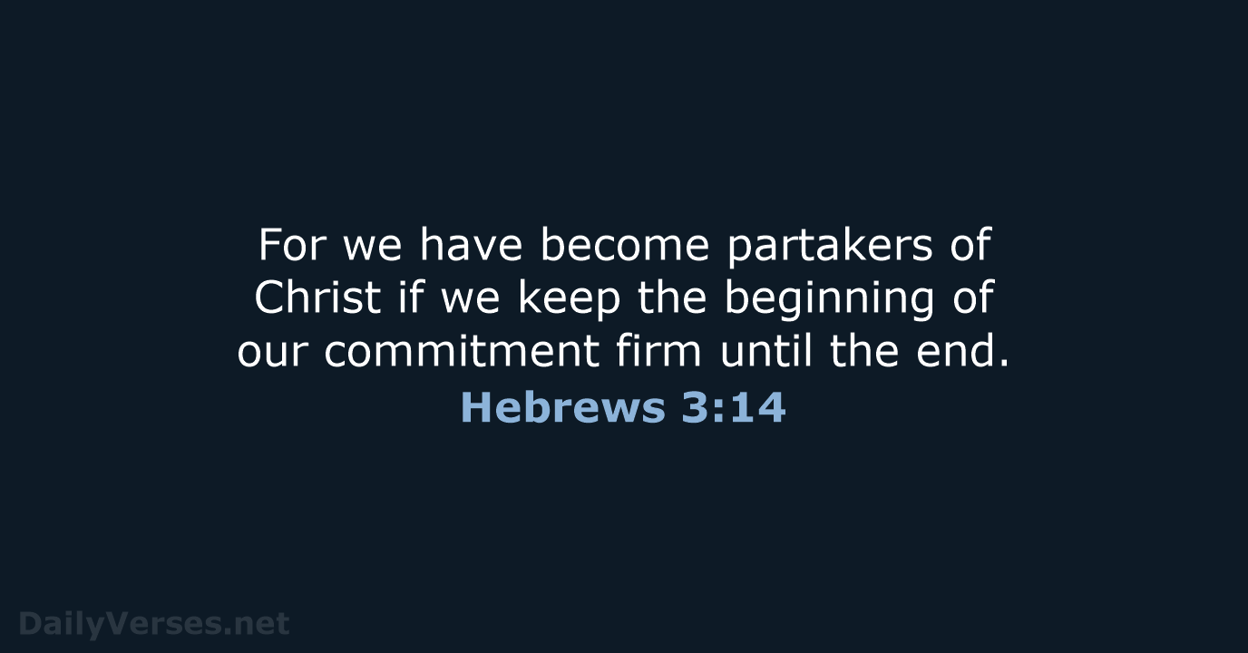 Hebrews 3:14 - NASB