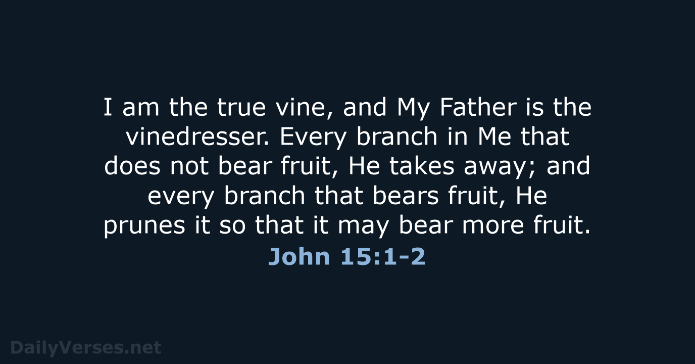 I am the true vine, and My Father is the vinedresser. Every… John 15:1-2