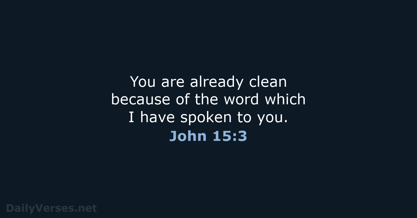 John 15:3 - NASB